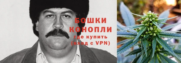 молекула духа Балабаново