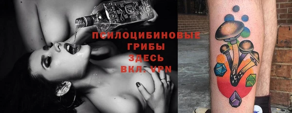 МДПВ Белокуриха