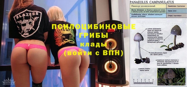молекула духа Балабаново