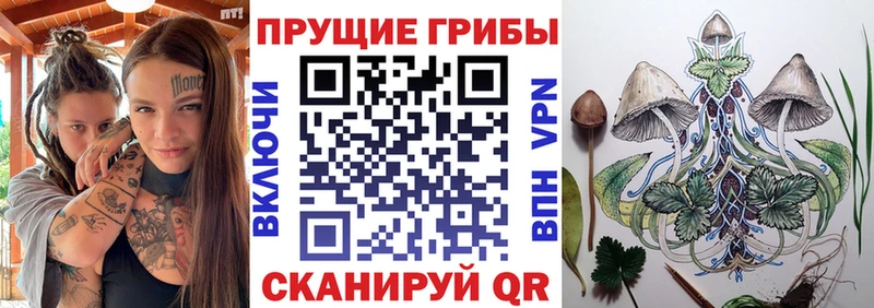 наркота  Болохово  Псилоцибиновые грибы мухоморы 