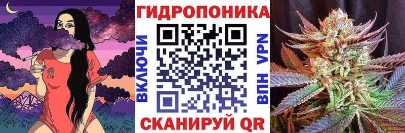 Шишки марихуана Amnesia  цена   Болохово 